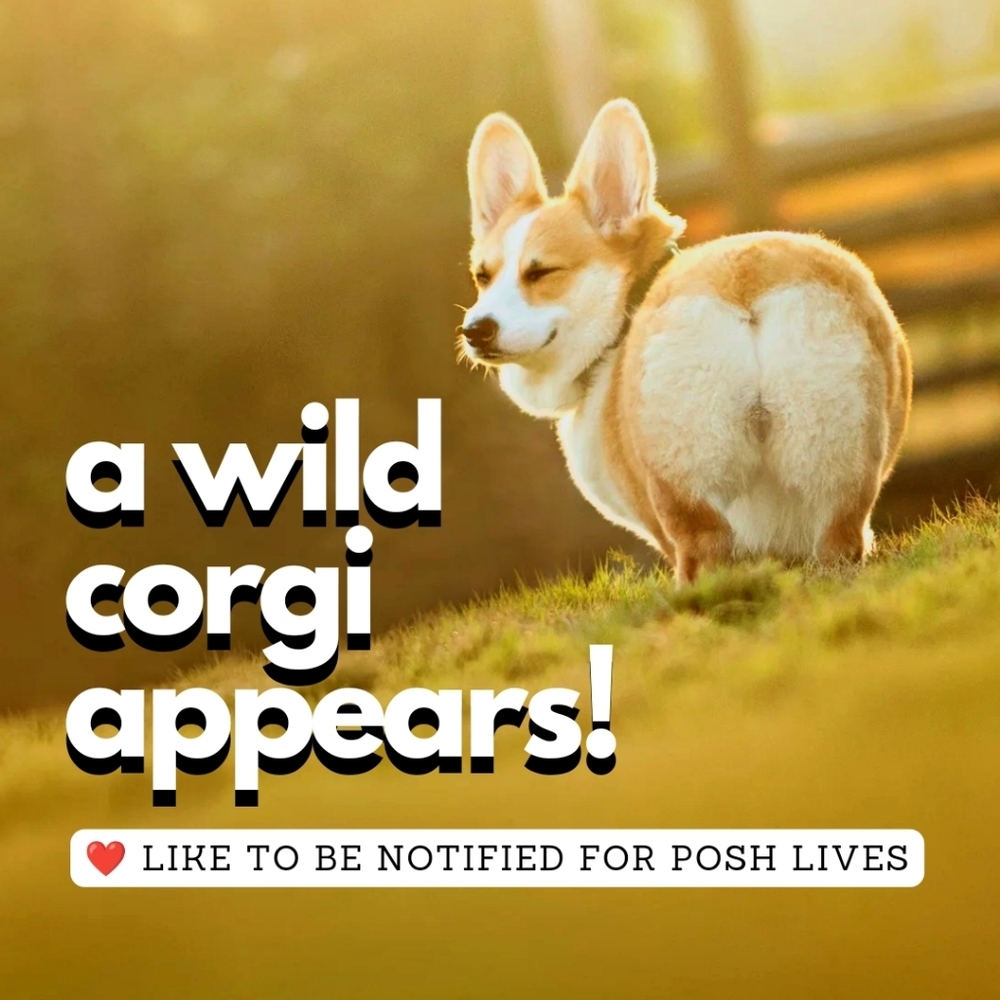 ❤️ Like to be notified when @corgibums is live